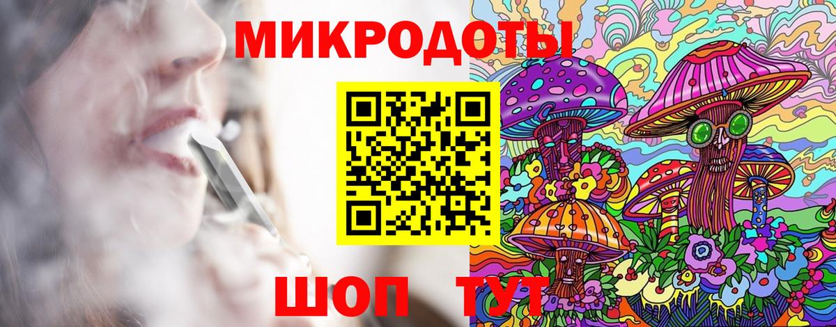 Псилоцибиновые грибы Psilocybine cubensis Миасс