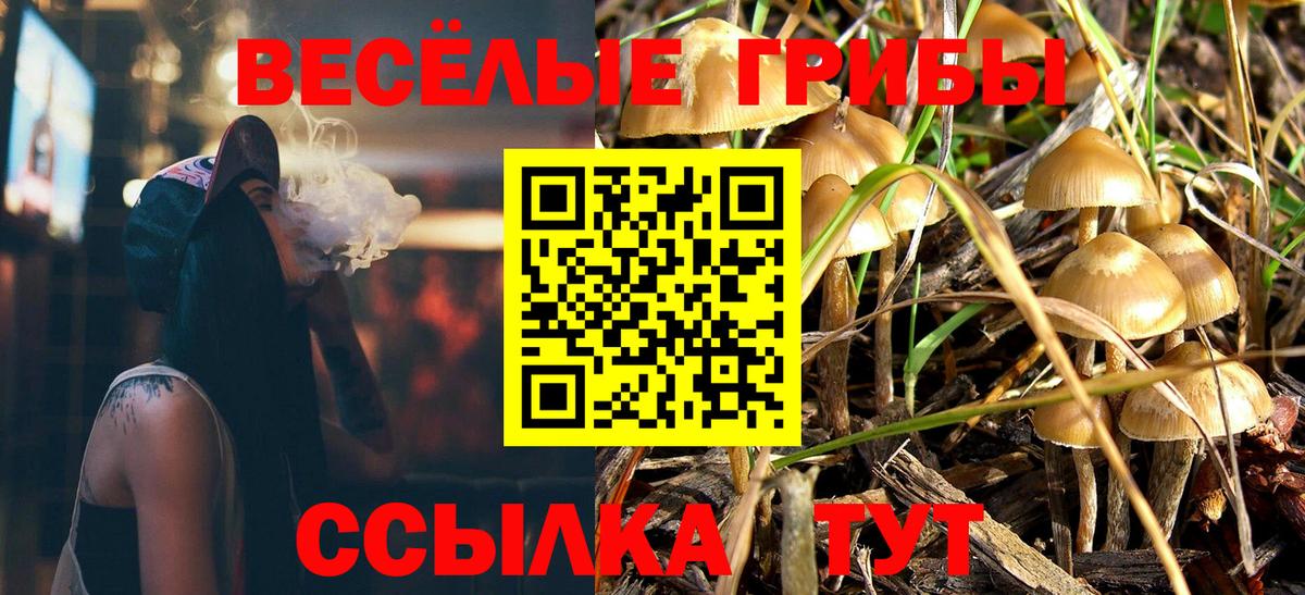 Миасс  Псилоцибиновые грибы GOLDEN TEACHER  Вход с VPN 